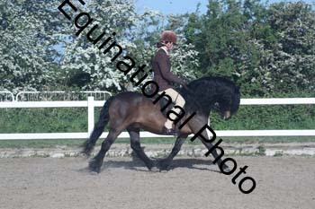 EXT-085