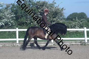 EXT-086
