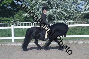 EXT-088