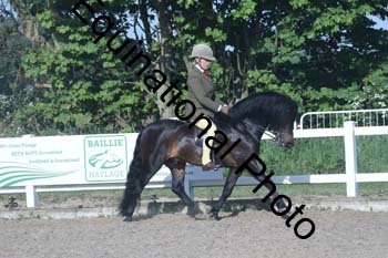 EXT-095