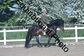 EXT-097
