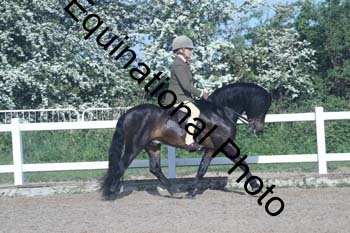 EXT-098