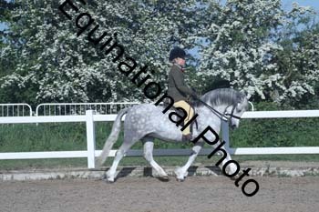 EXT-103