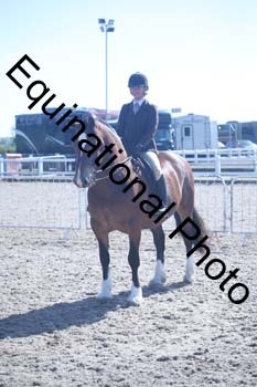 EXT-298
