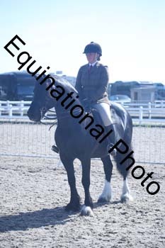 EXT-310