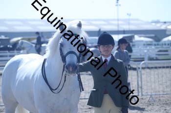 EXT-372