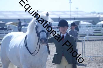 EXT-373