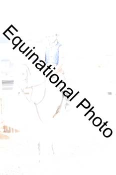 TMM-2281