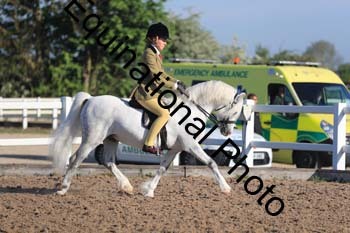 UPD-1003