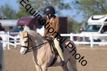 UPD-1028