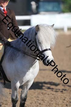 UPD-1054