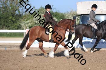 UPD-1091