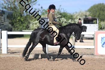 UPD-1347