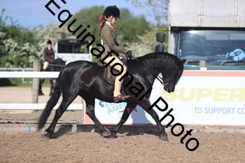 UPD-1348