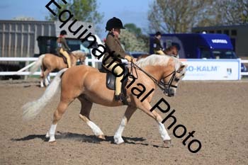 UPD-1363