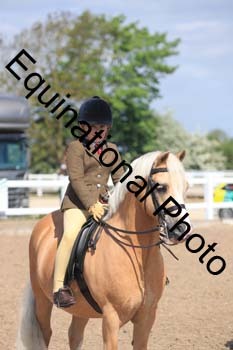 UPD-1403