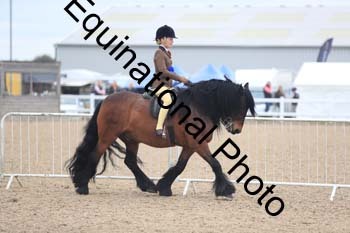 UPD-1697
