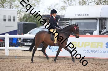 UPD-2028