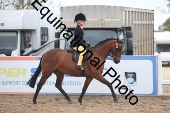UPD-2043