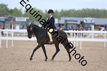 UPD-2061