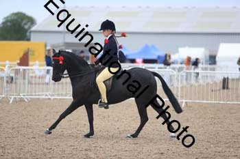 UPD-2070