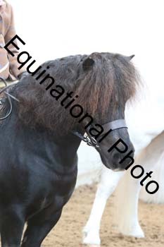 DEV-1020