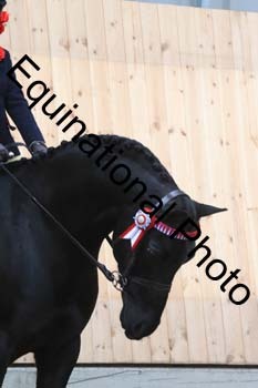 DEV-1026
