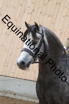 DEV-2113