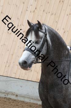 DEV-2114