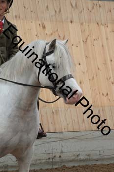 DEV-2119