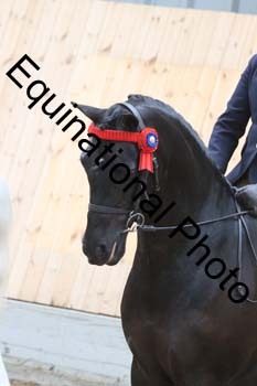 DEV-2128