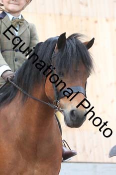 DEV-2140