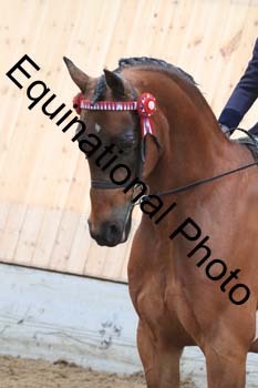DEV-2144