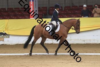 GUB-1006