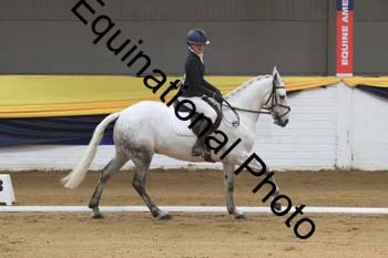 GUB-1041