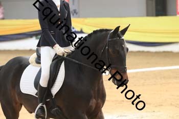 GUB-1067