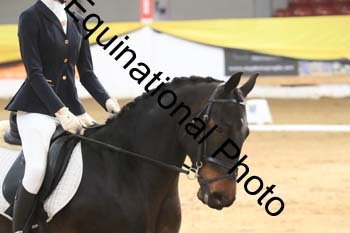 GUB-1068
