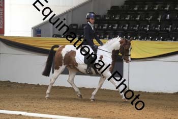 GUB-1078
