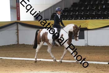 GUB-1088