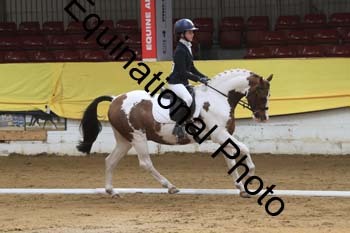 GUB-1097
