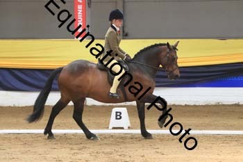 GUB-1137