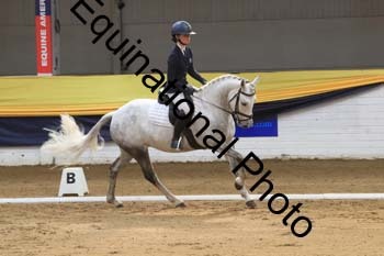 GUB-1156