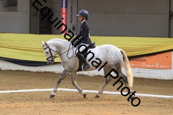 GUB-1163