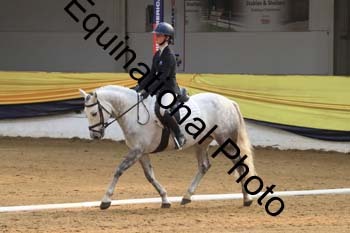GUB-1164