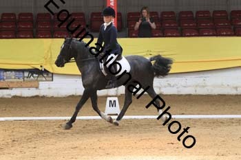 GUB-1184
