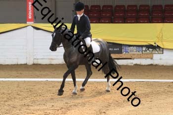 GUB-1185