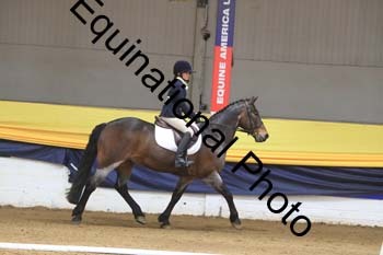 GUB-1208