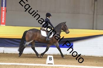 GUB-1209