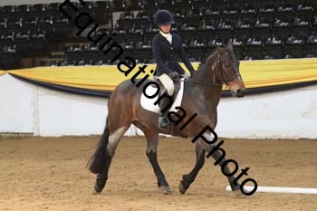 GUB-1228