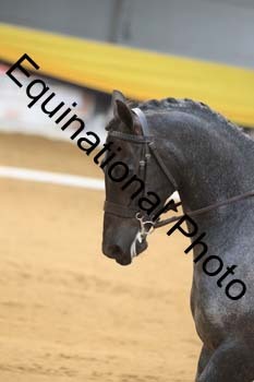 GUB-1238